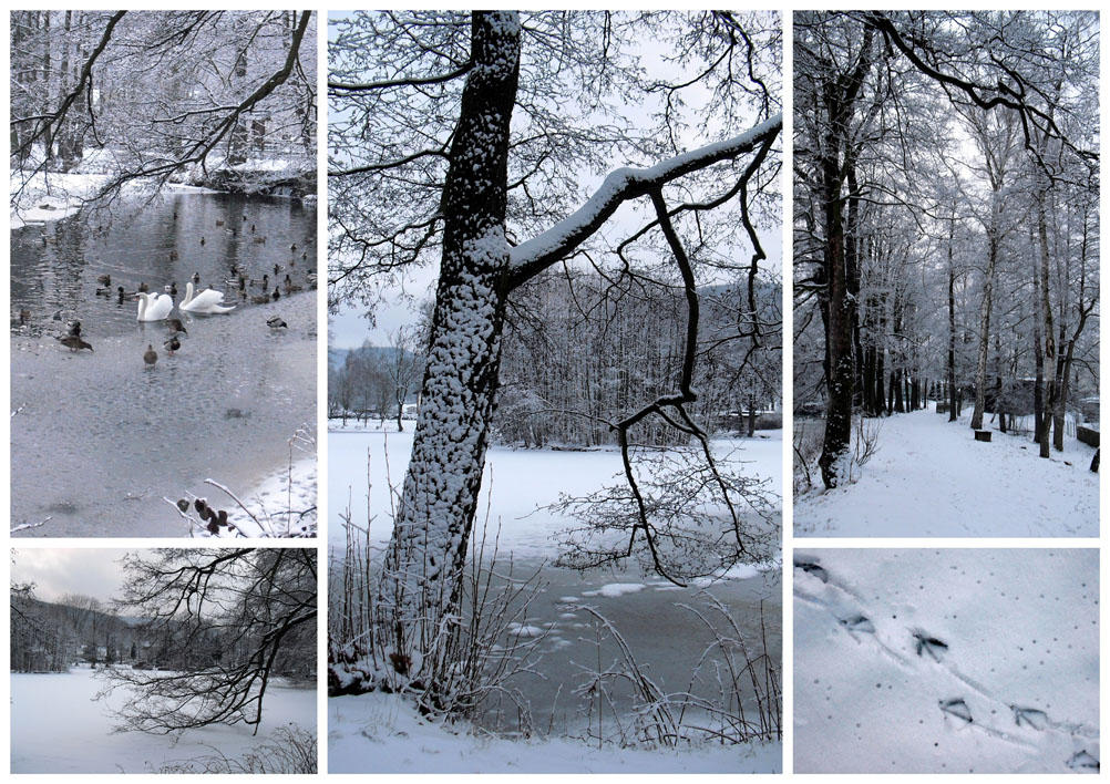 Winterimpressionen II