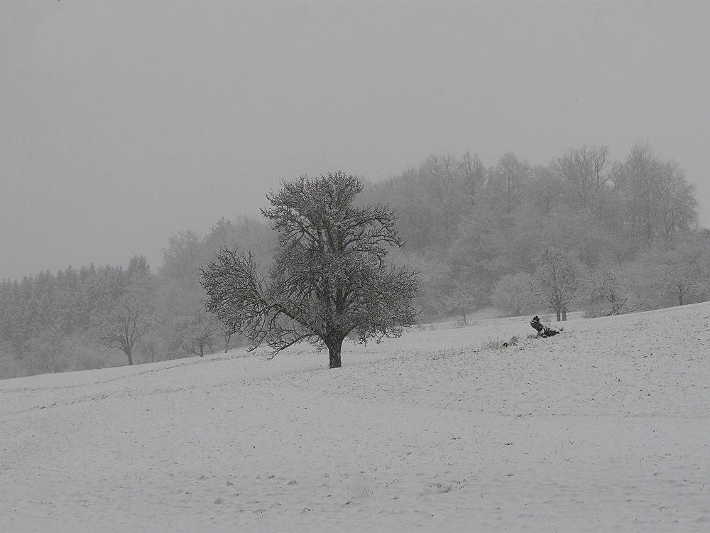 Winterimpressionen II