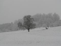 Winterimpressionen II