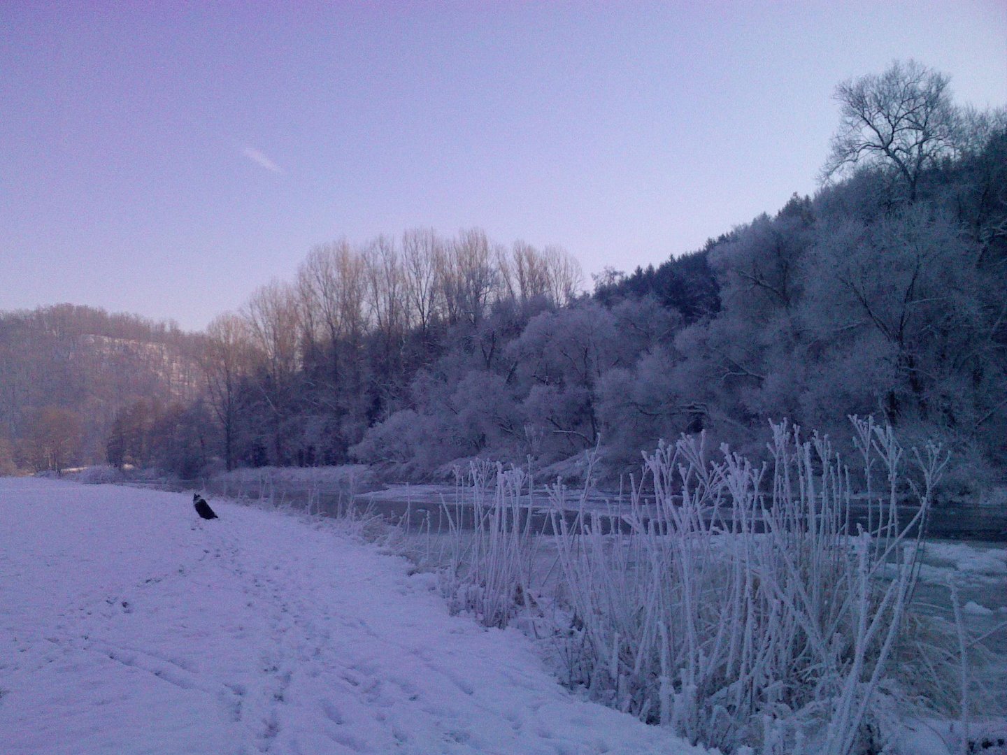 Winterimpressionen II