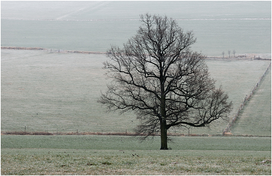 Winterimpressionen II