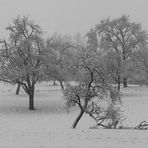 Winterimpressionen III