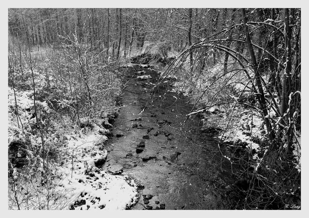 Winterimpressionen III