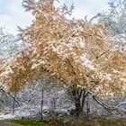 Winterimpressionen im April