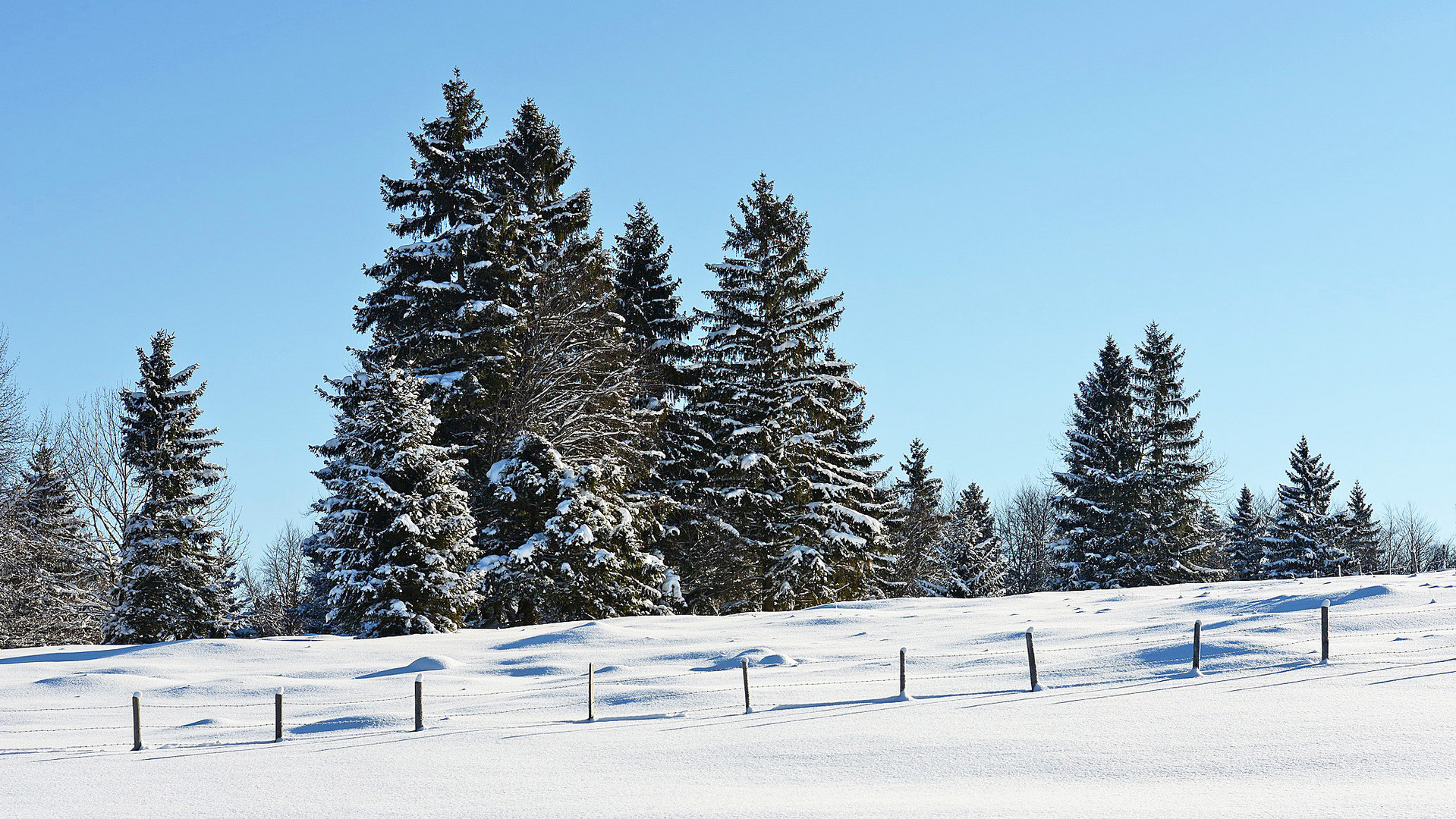 Winterimpressionen im Ostallgäu