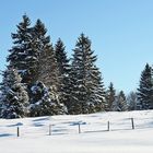 Winterimpressionen im Ostallgäu