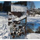 Winterimpressionen im Wiesental.