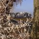 Winterimpressionen in Niedersachsen bei Lneburg