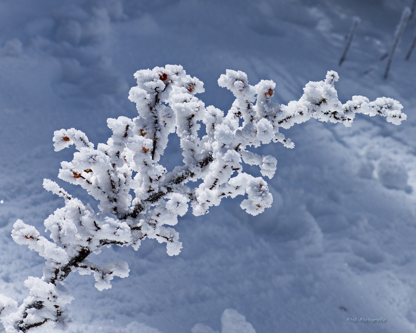 Winterimpressionen IV