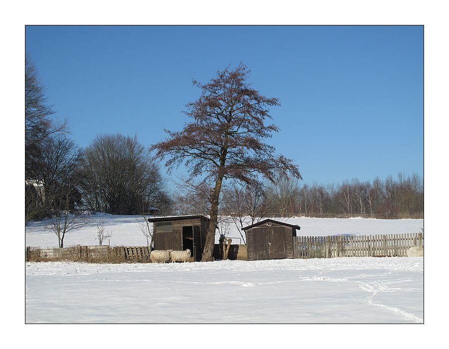 Winterimpressionen IV