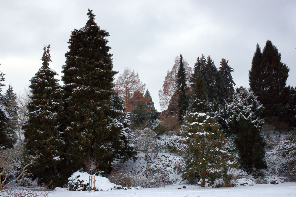 Winterimpressionen Kassel