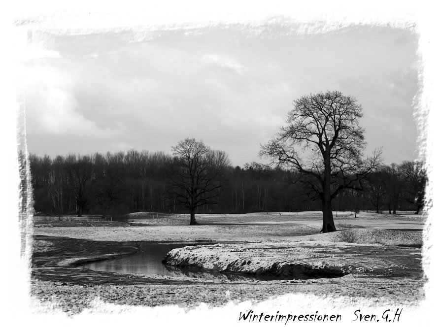 Winterimpressionen (Reload)