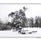 Winterimpressionen - Schlosspark Sanssouci