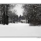 Winterimpressionen - Schlosspark Sanssouci,