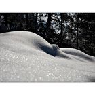Winterimpressionen: Schneelandschaft