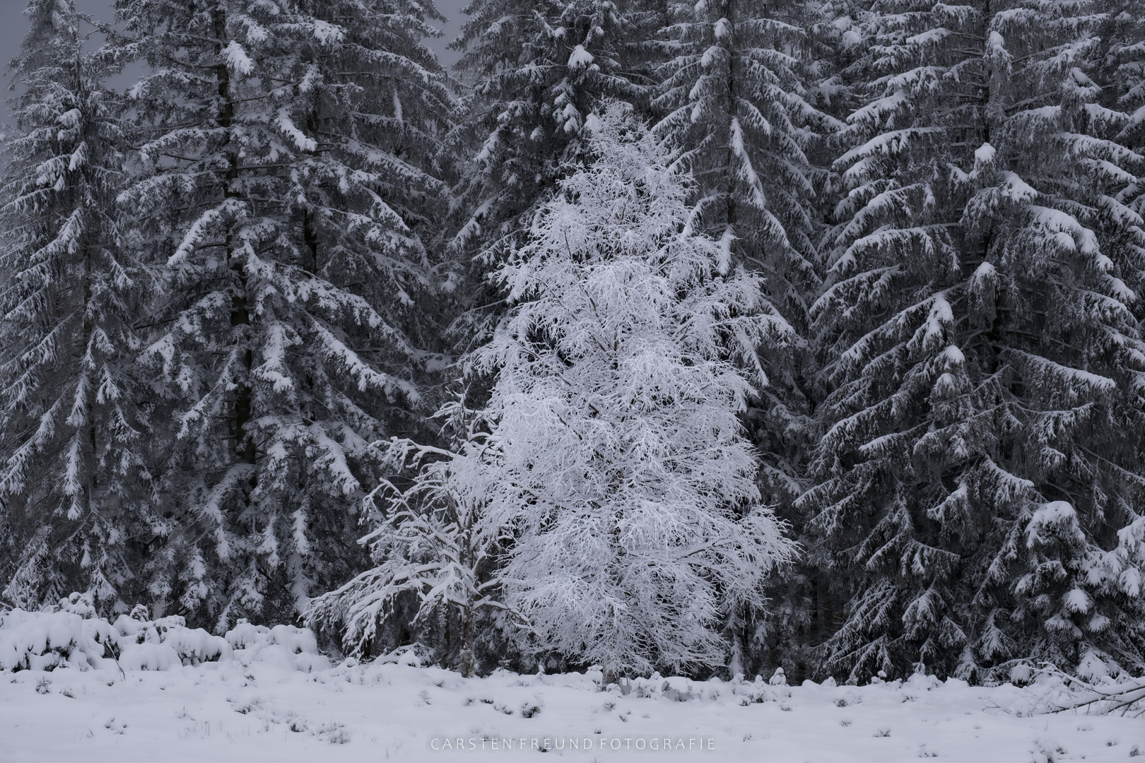 Winterimpressionen Schwarzwaldhochstraße