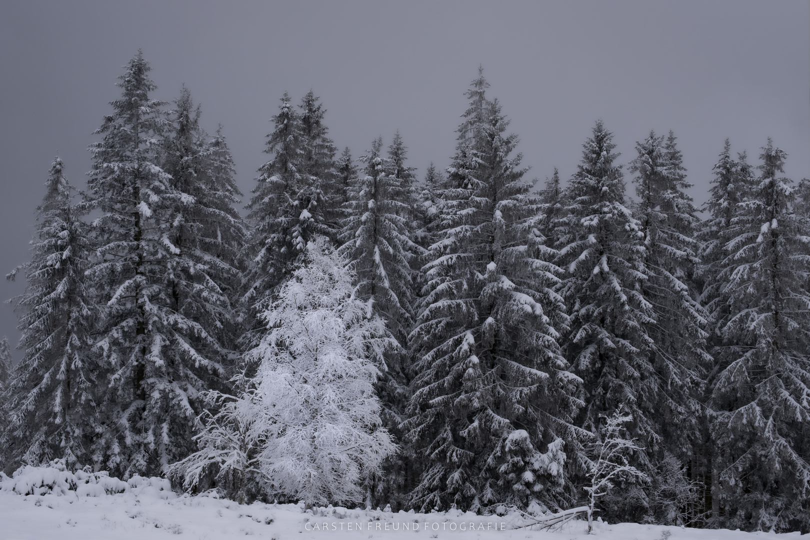 Winterimpressionen Schwarzwaldhochstraße