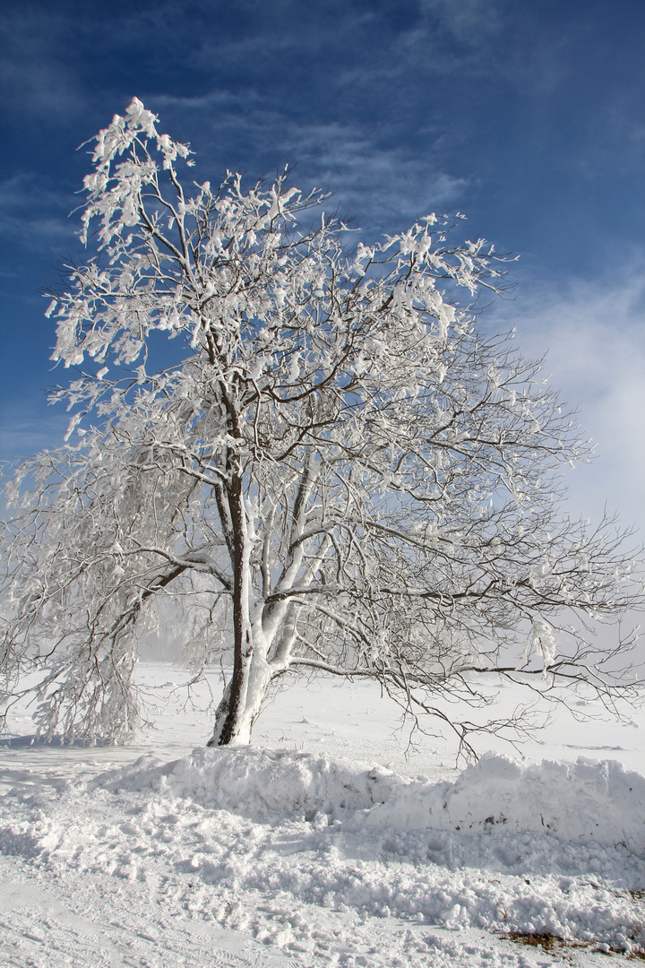 Winterimpressionen Teil 1