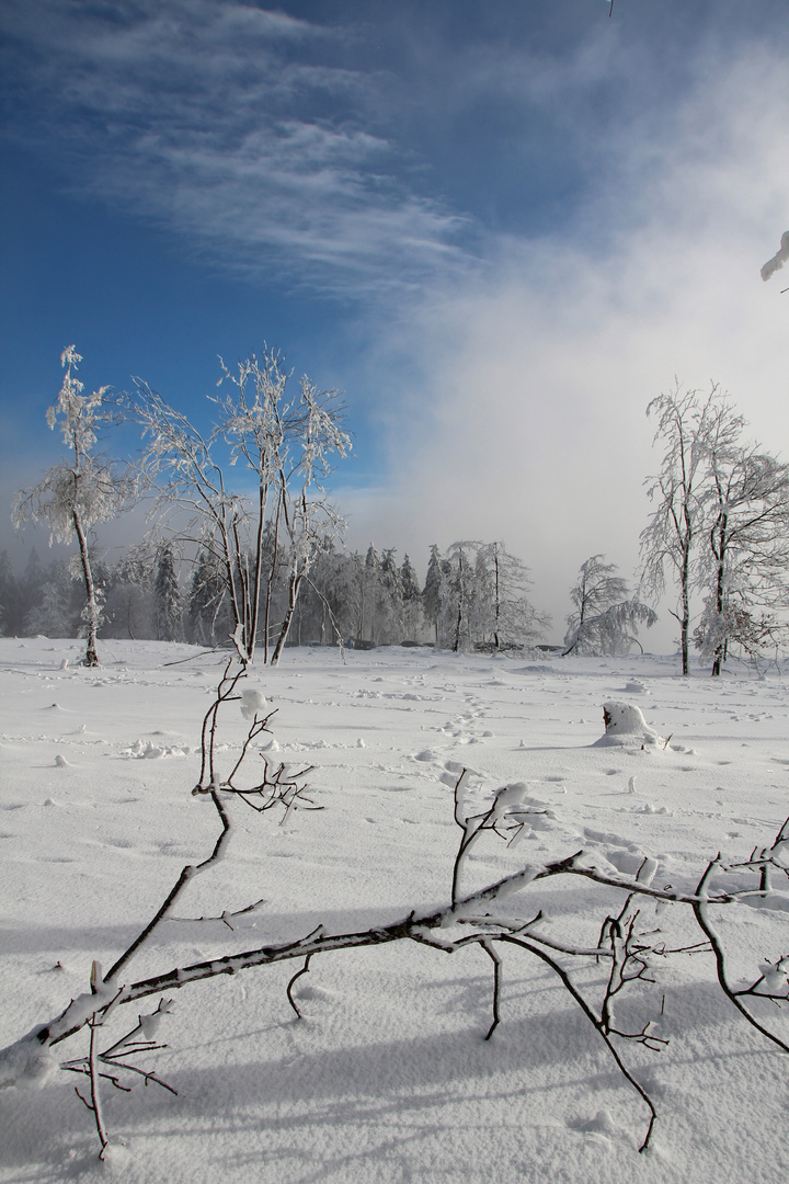 Winterimpressionen Teil 3