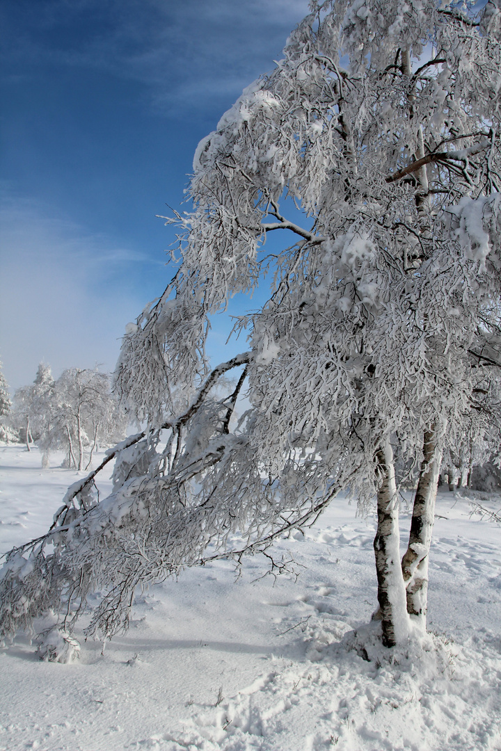 Winterimpressionen Teil 4