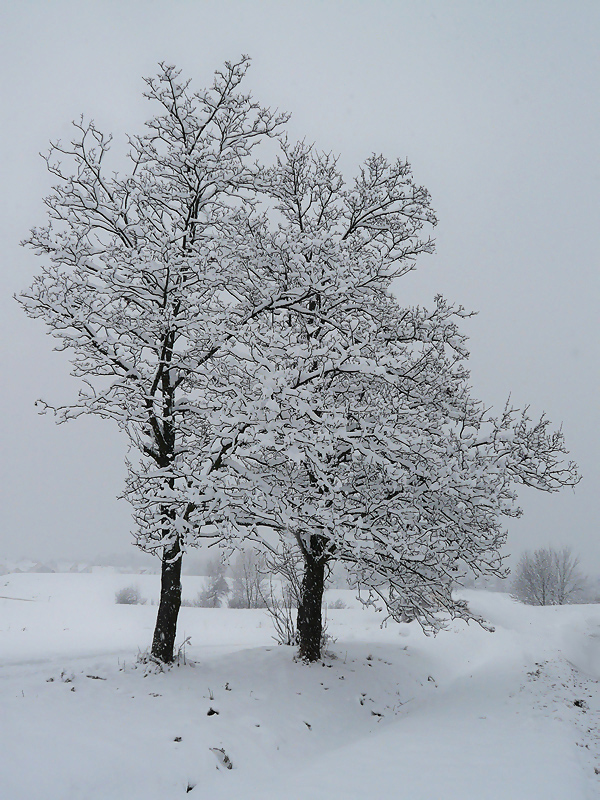 Winterimpressionen V