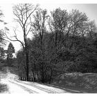 Winterimpressionen V