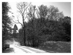 Winterimpressionen V