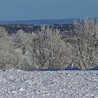Winterimpressionen vom Gebirgskamm bei der Naklerovska vysina kurz hinter der deutschen Grenze