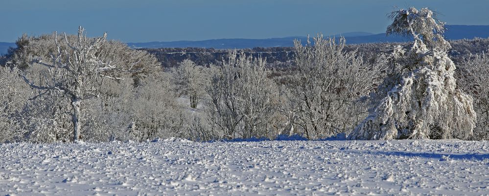 Winterimpressionen vom Gebirgskamm bei der Naklerovska vysina kurz hinter der deutschen Grenze