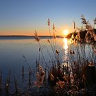 Winterimpressionen vom Steinhuder Meer