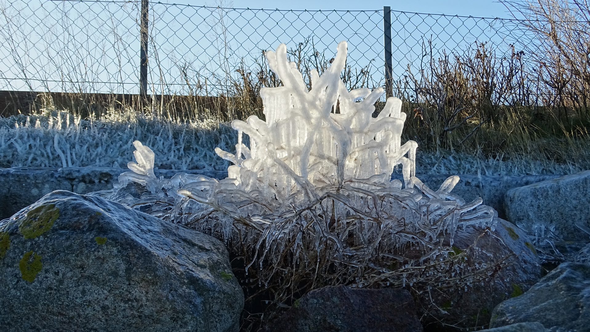 Winterimpressionen von der Küste 1