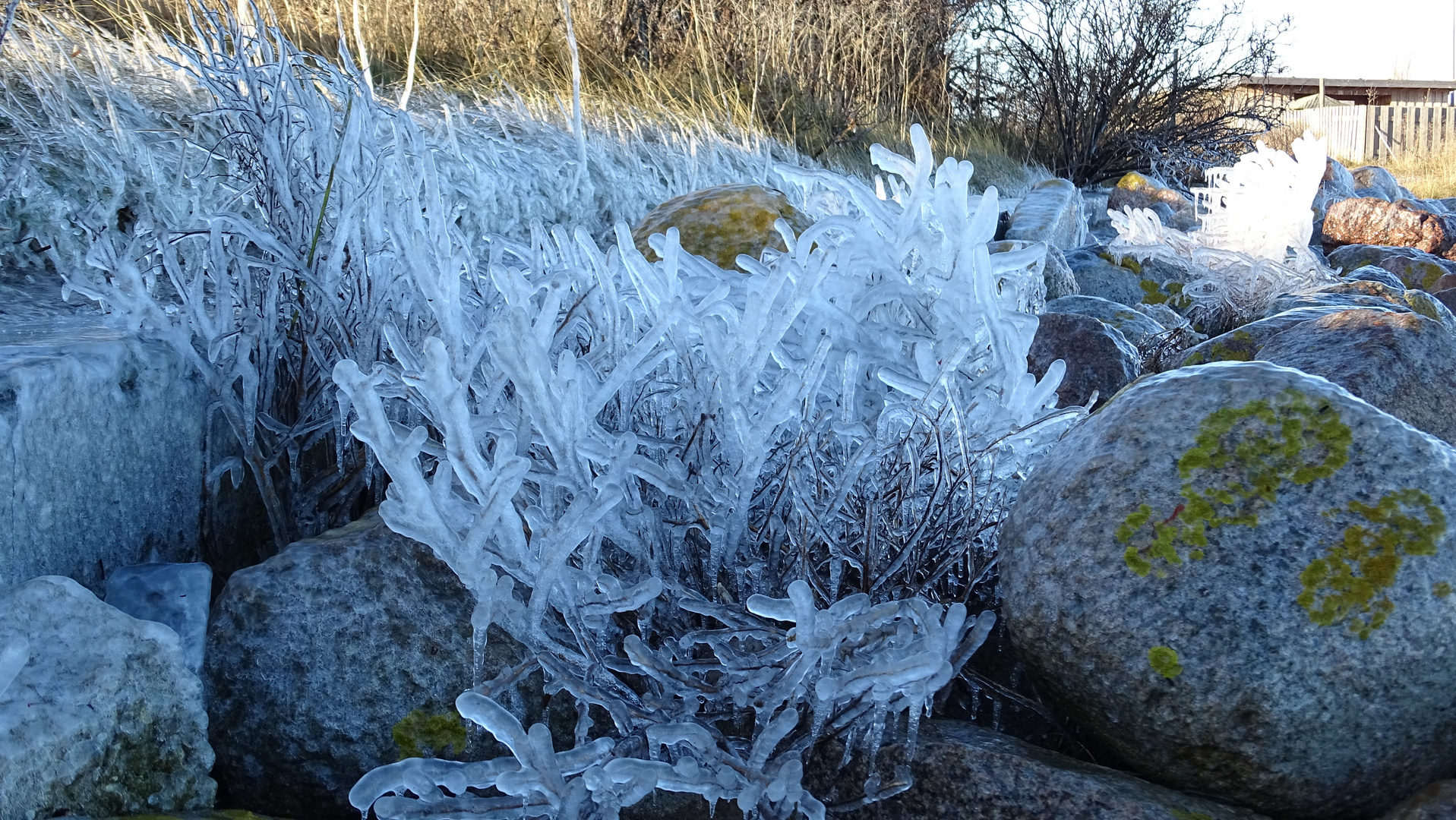 Winterimpressionen von der Küste 2