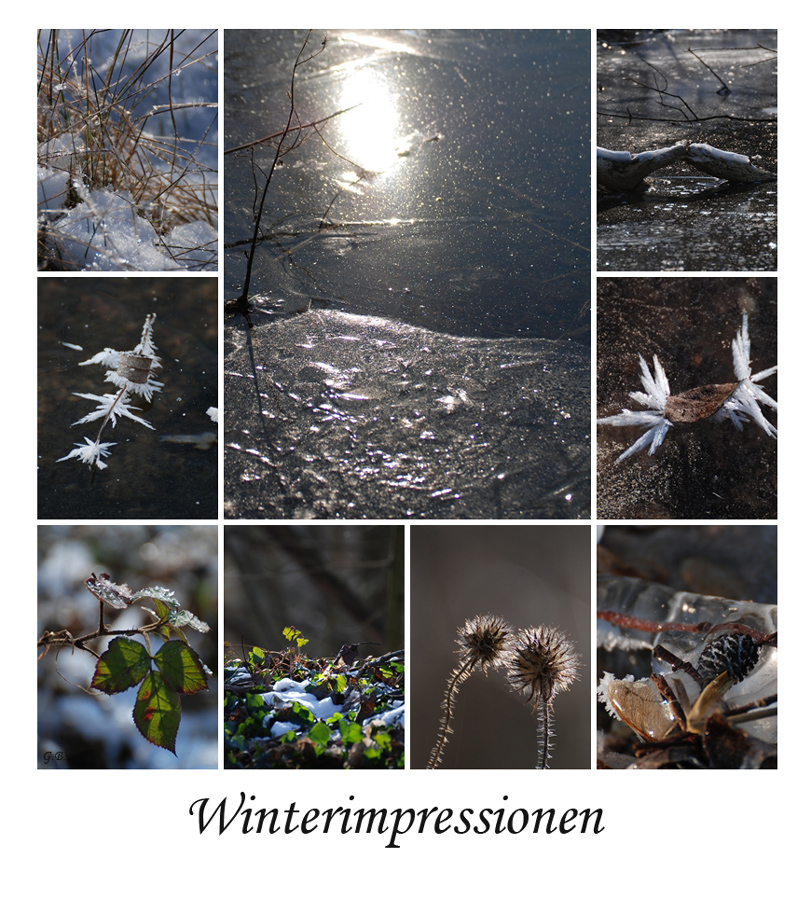 Winterimpressionen zum Wochenende