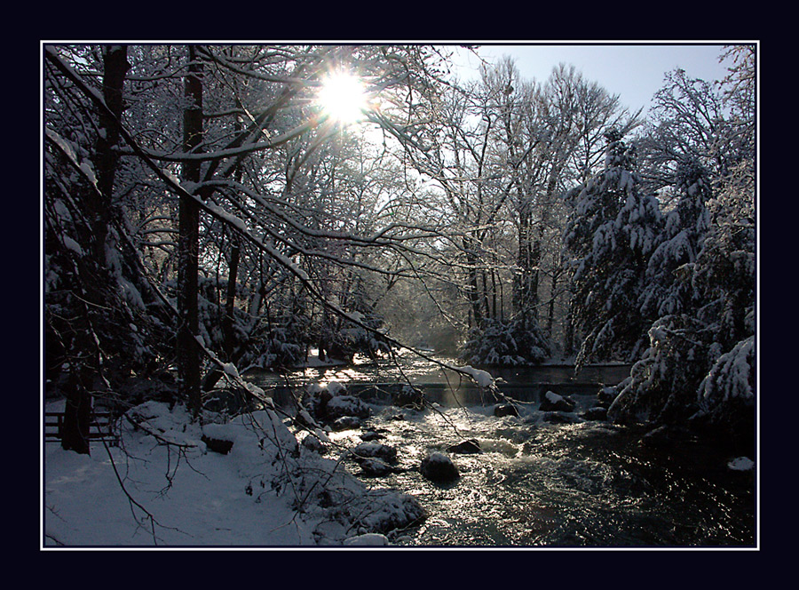 Winterimpressionen/12