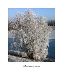 Winterimpressionen14