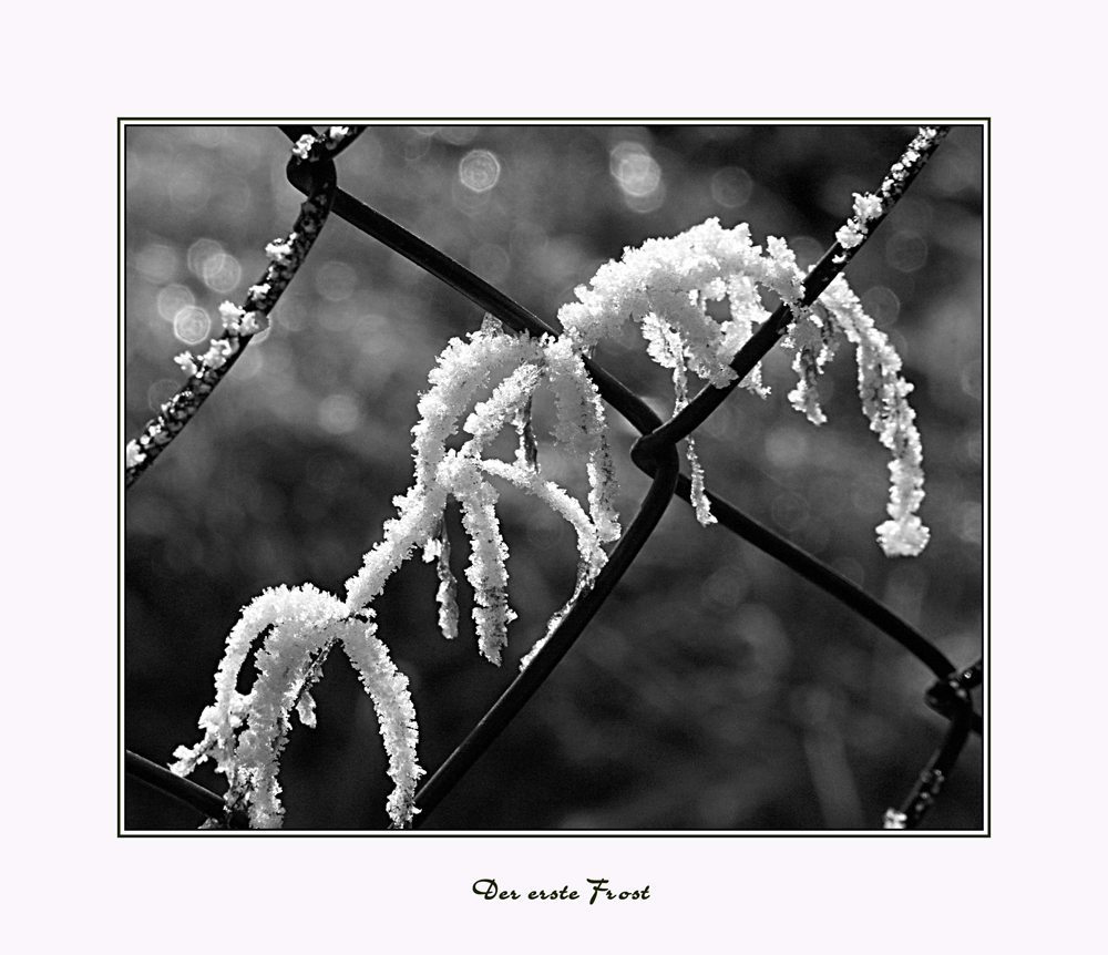 Winterimpressionen16