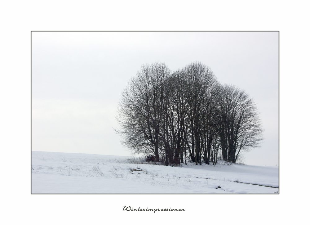 Winterimpressionen18