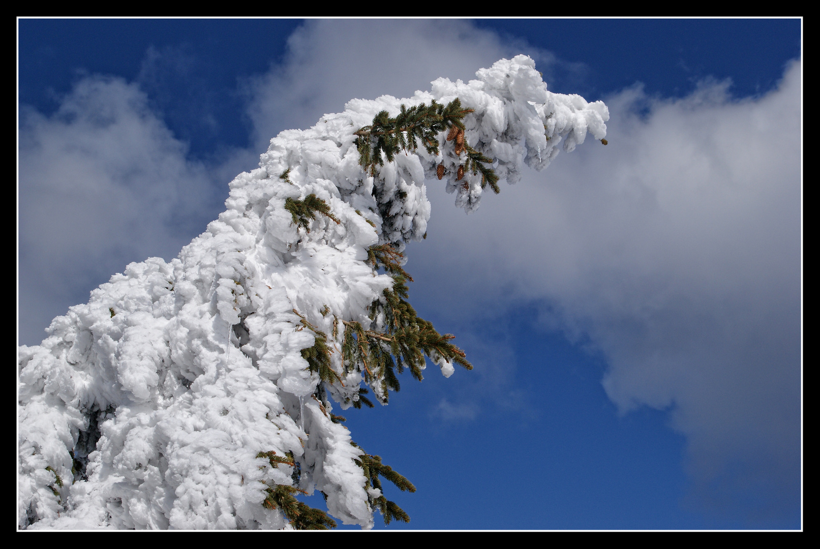 Winterimpressionen_2