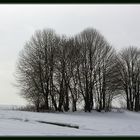 Winterimpressionen/8