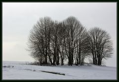 Winterimpressionen/8