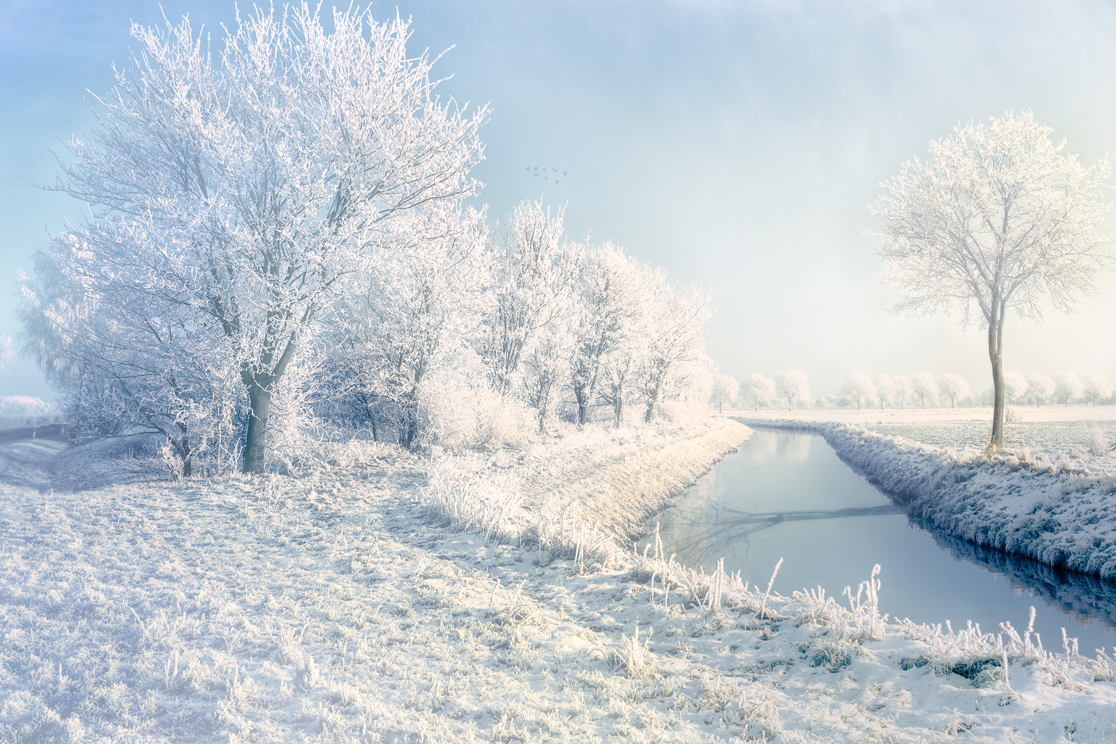 Winter_Impression_Stuhr