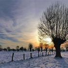 winter...in meiner alten Heimat..Niederrhein