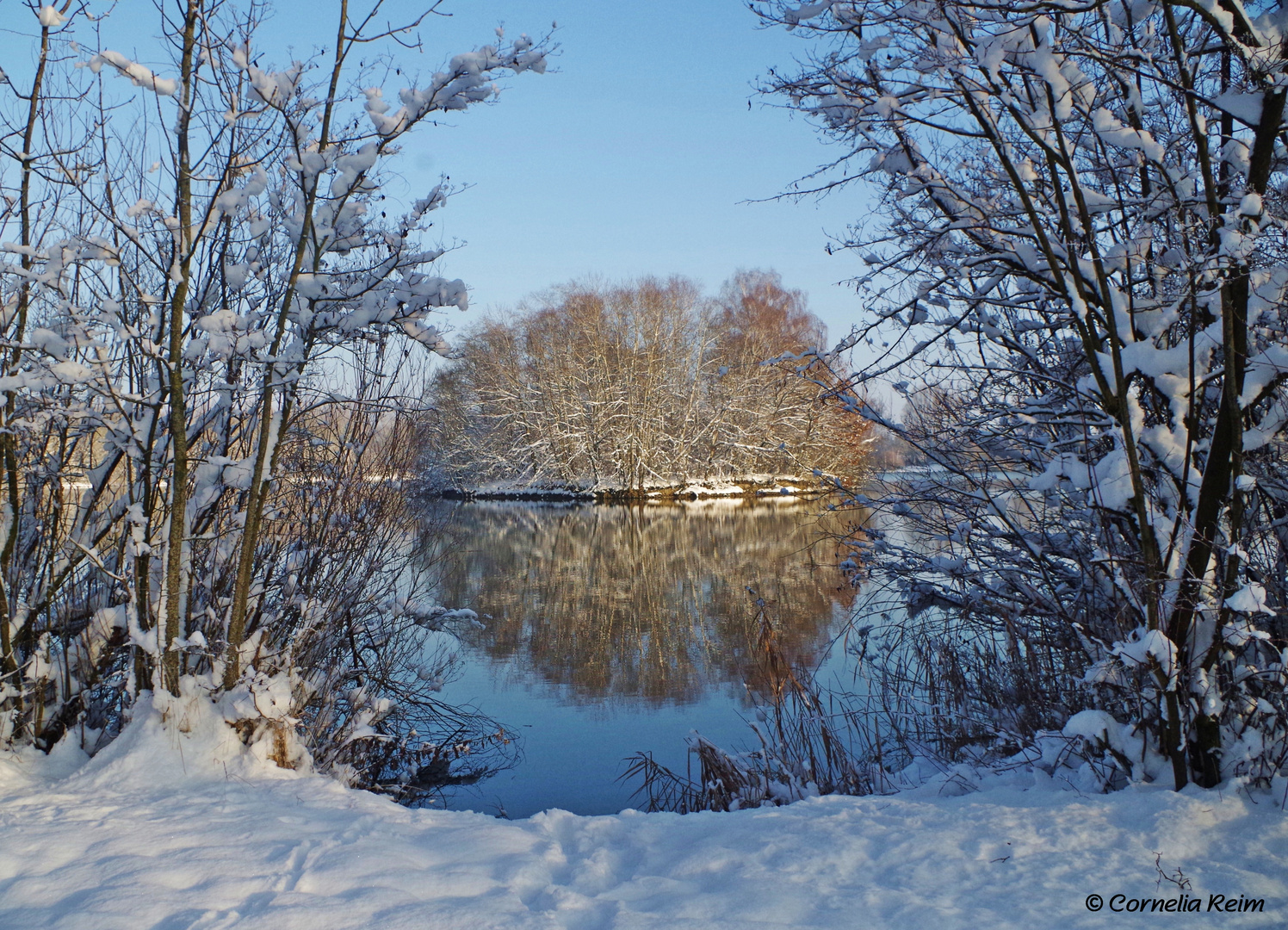 Winterinsel