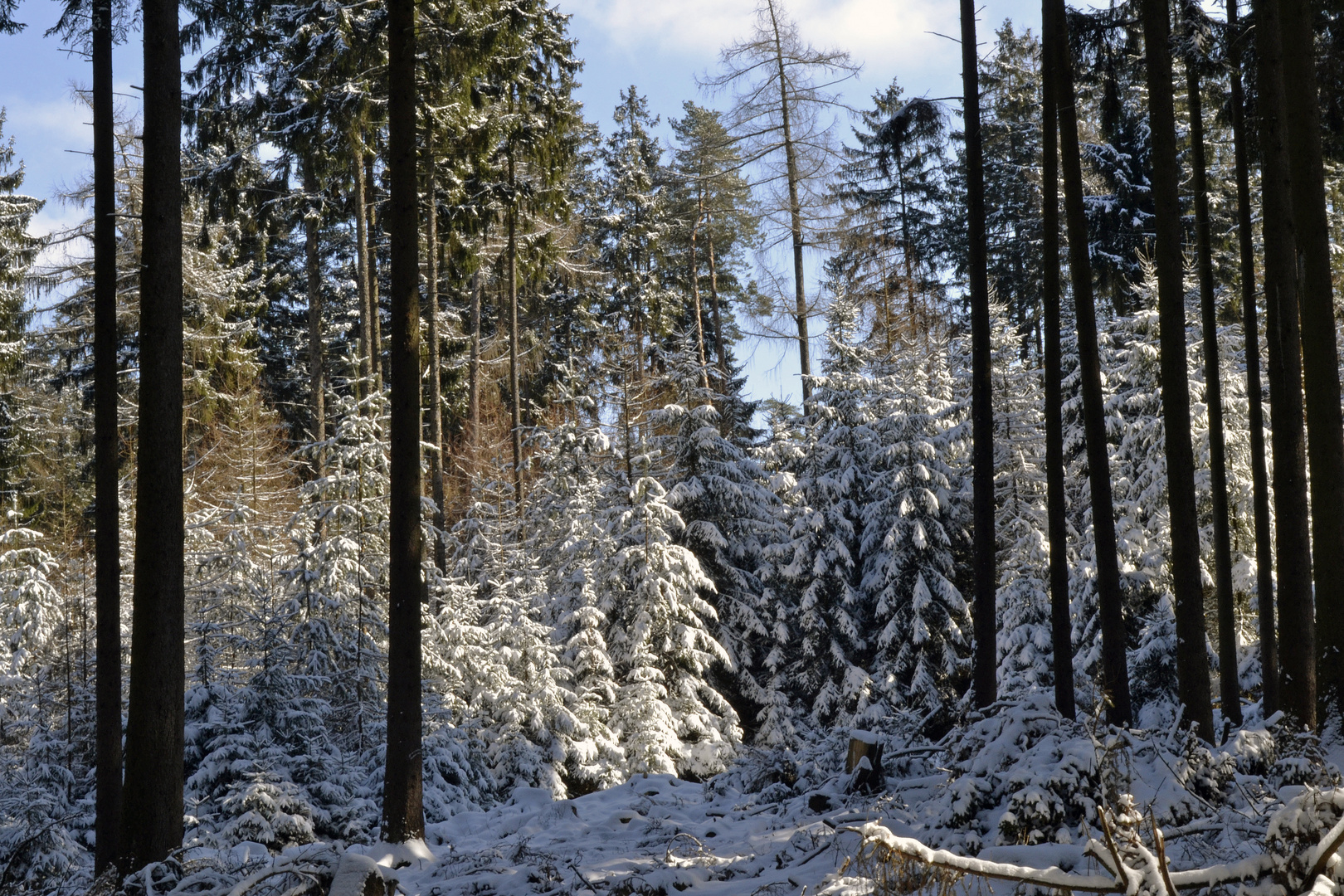 Winterintermezzo im März