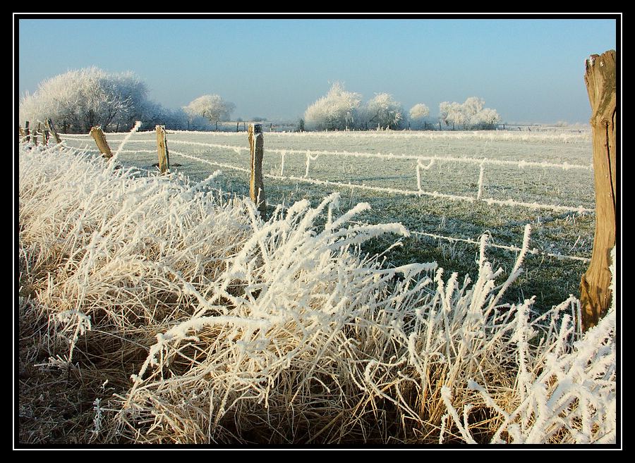 Winterkälte 02