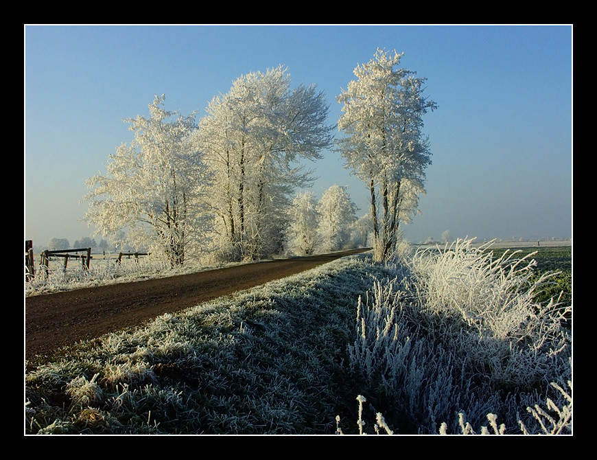 Winterkälte 03