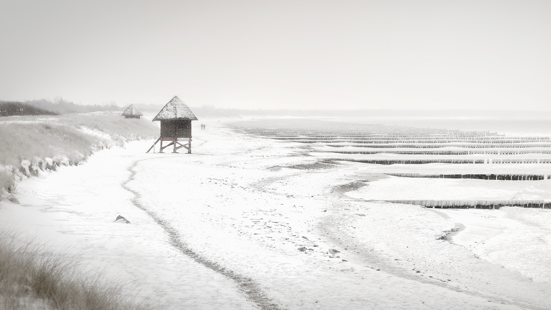 Winterkälte