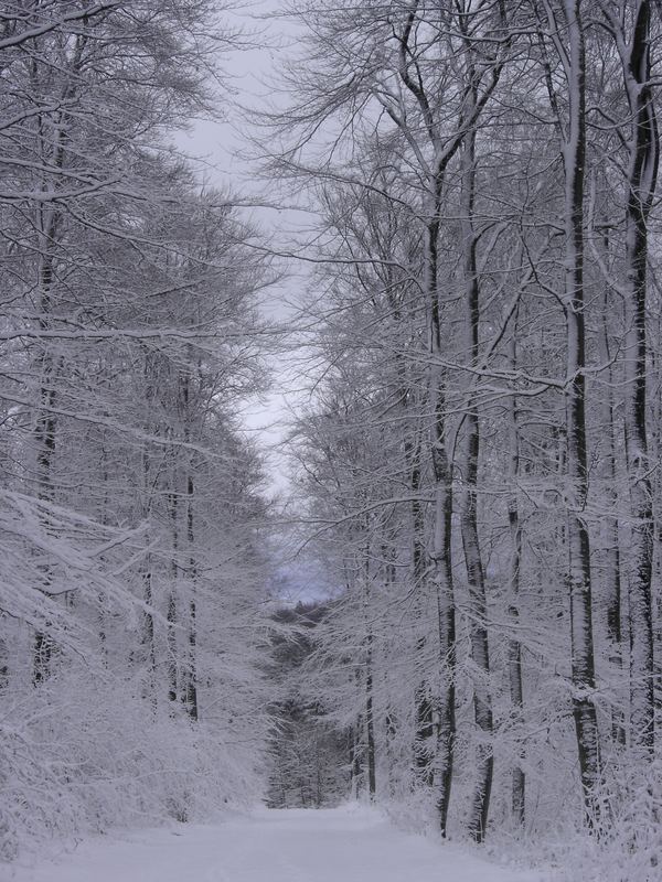 Winterkälte