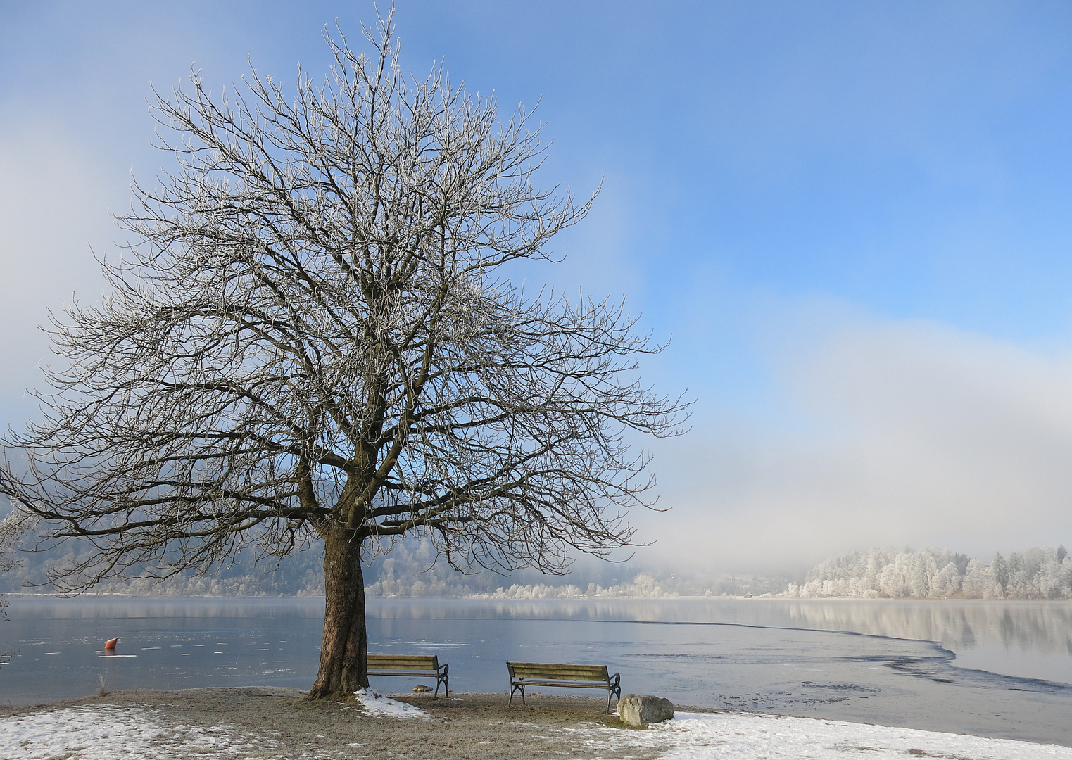 winterkälte