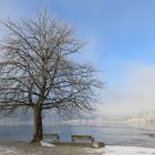 winterkälte